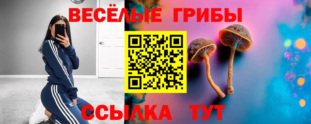 Галлюциногенные грибы мухоморы Тайшет