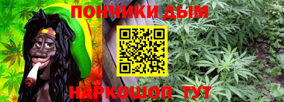 Тайшет  Марихуана план  Канабис ГИДРОПОН  Вход с VPN  Бошки Шишки семена  Бошки марихуана THC 21% 